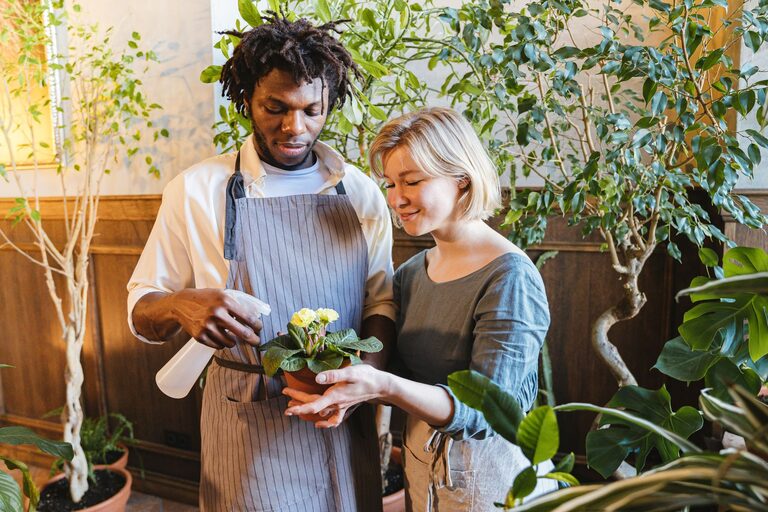 Easy Tips for Keeping Your Houseplants Healthy and Thriving